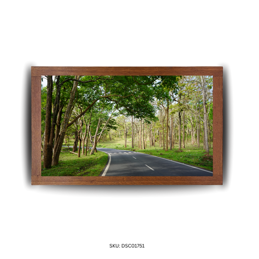 The Verdant Roadscape - First Image