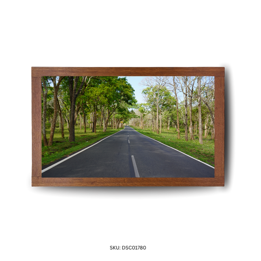 Scenic Tree-Lined Drive - First Image