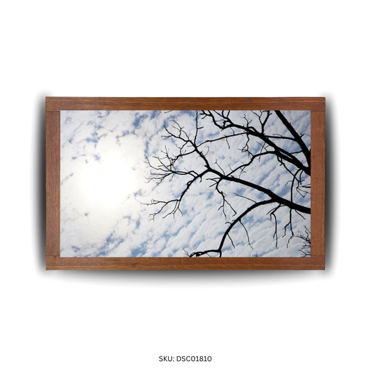 Stillness Under the Sky - First Image