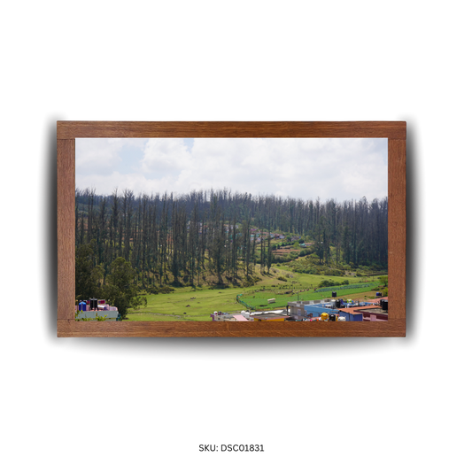 Among Trees and Trails - First Image