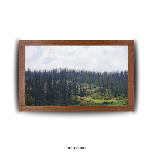 Whispers of the Woodland Way - First Image