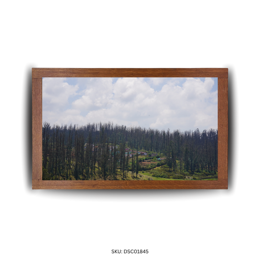 House by the Tallwood Trail - First Image