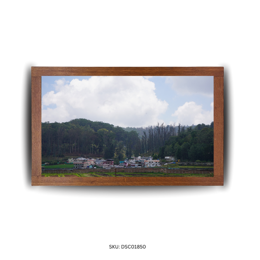 The Endless Green Avenue - First Image