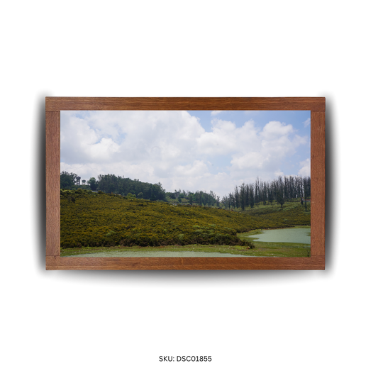 Nature's Playful Paradise