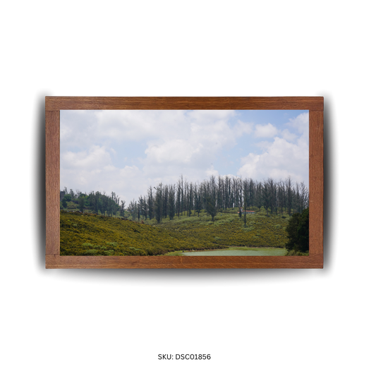 Green Hills & Giggles - First Image