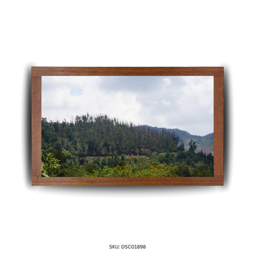 Through the Hills, Under the Sky - First Image