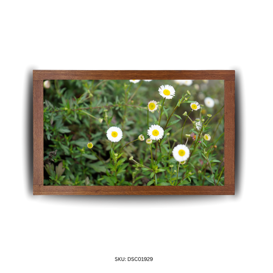 Floral Edges of the Way - First Image