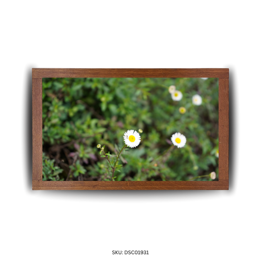 The Flower-Flecked Road - First Image