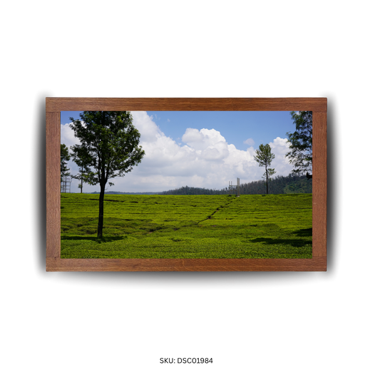 The Winding Green Symphony - First Image