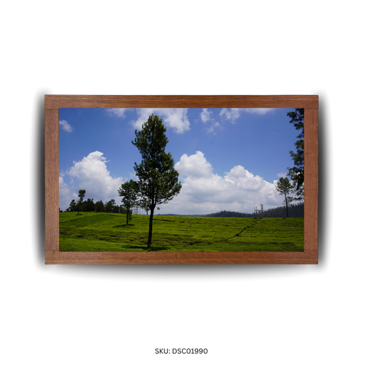 The Arc of Nature’s Greens - First Image