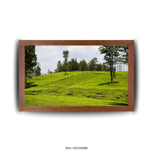 Nature’s Curved Canvas - First Image