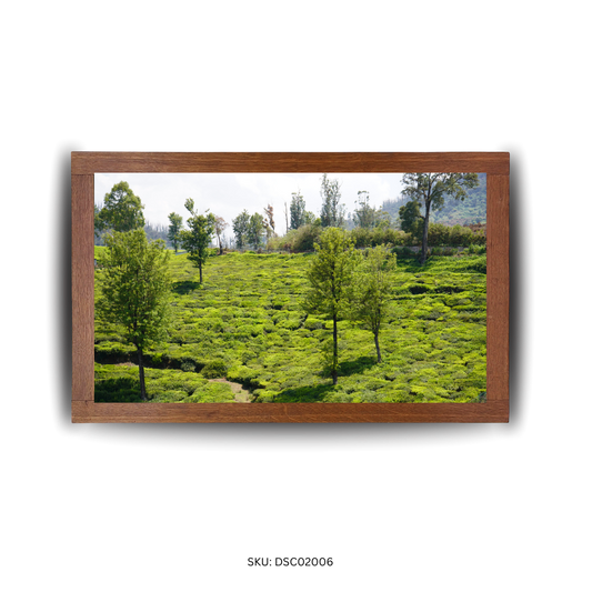 Echoes of the Curved Estate - First Image