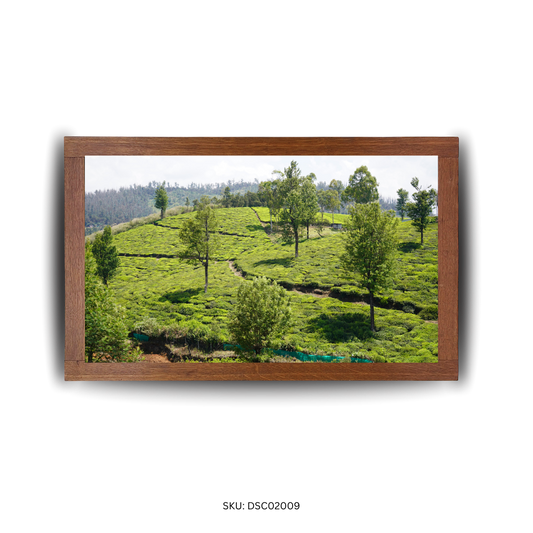 Beneath the Bending Greens - First Image