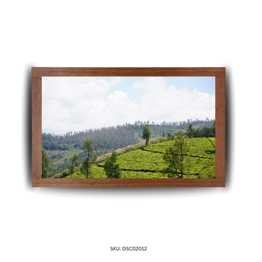 The Flow of Green Silence - First Image