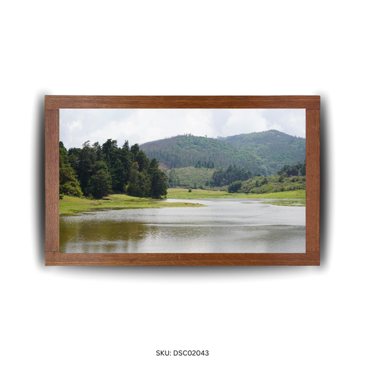 Reflections of Green Serenity - First Image