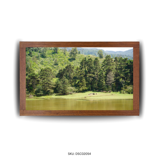 Still Waters & Wandering Souls - First Image