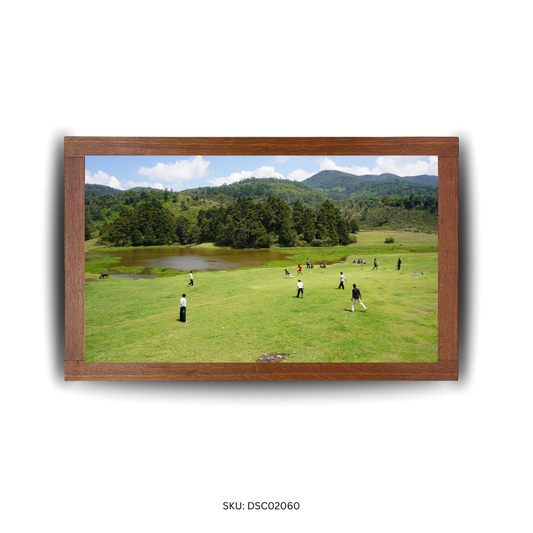 Cricket in the Valley Breeze - First Image