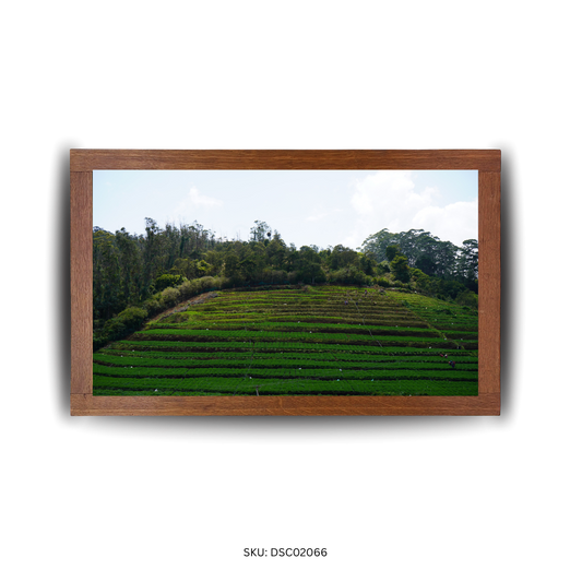 Skyscape Over Sloping Greens - First Image