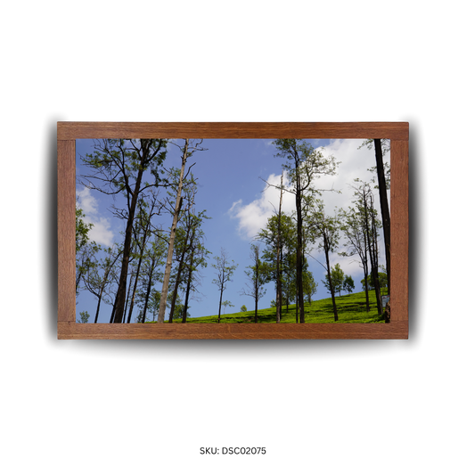 Giants Over the Green - First Image