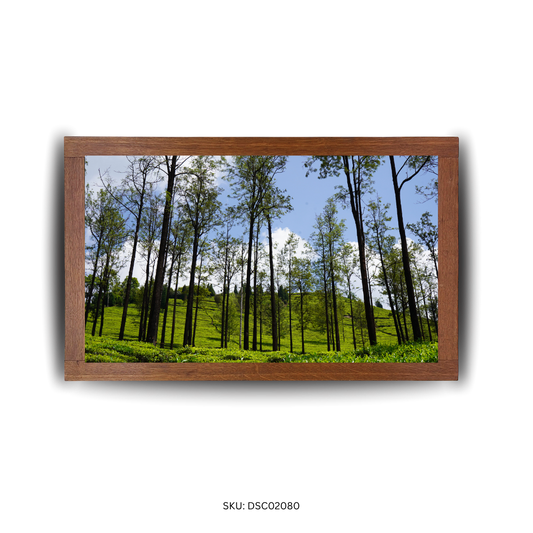 Swaying Heights, Serene Greens - First Image