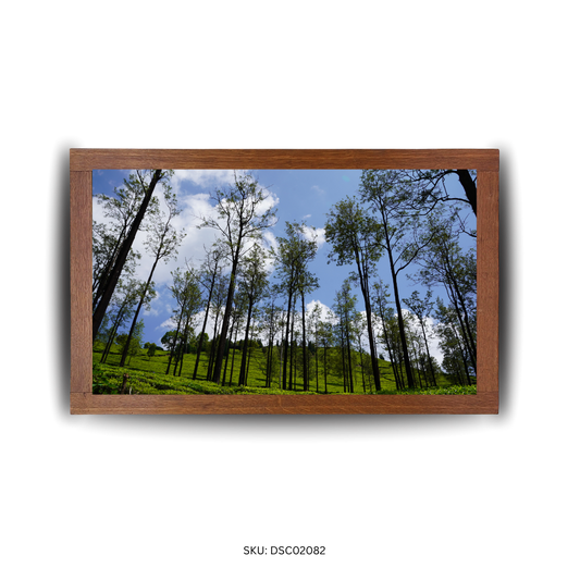 Where Trees Guard the Garden - First Image