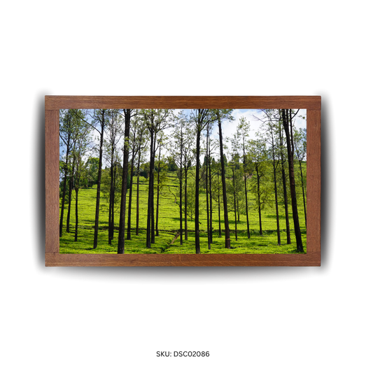 Among Tall Shadows & Tea Leaves - First Image