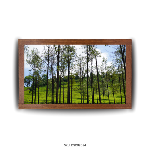 Nature’s Twin Symphony - First Image