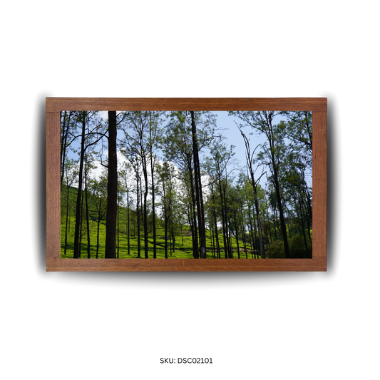 In the Shade of Serenity - First Image