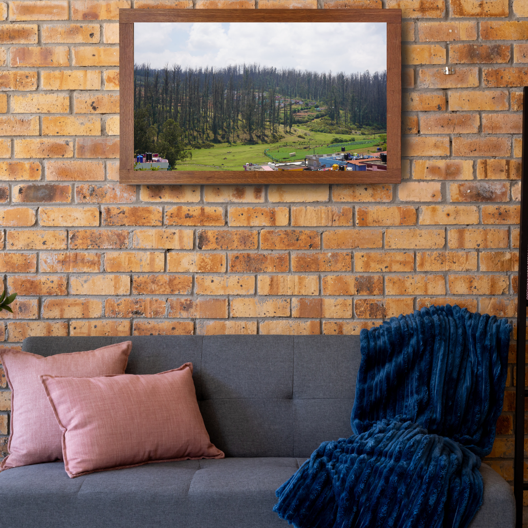 Among Trees and Trails