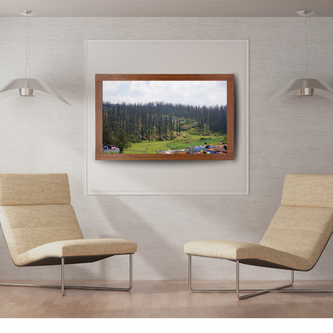 Among Trees and Trails