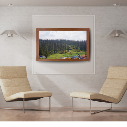 Among Trees and Trails