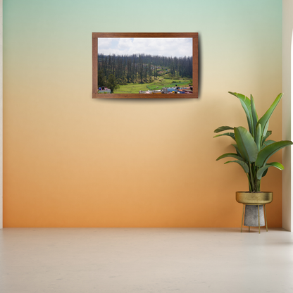 Among Trees and Trails