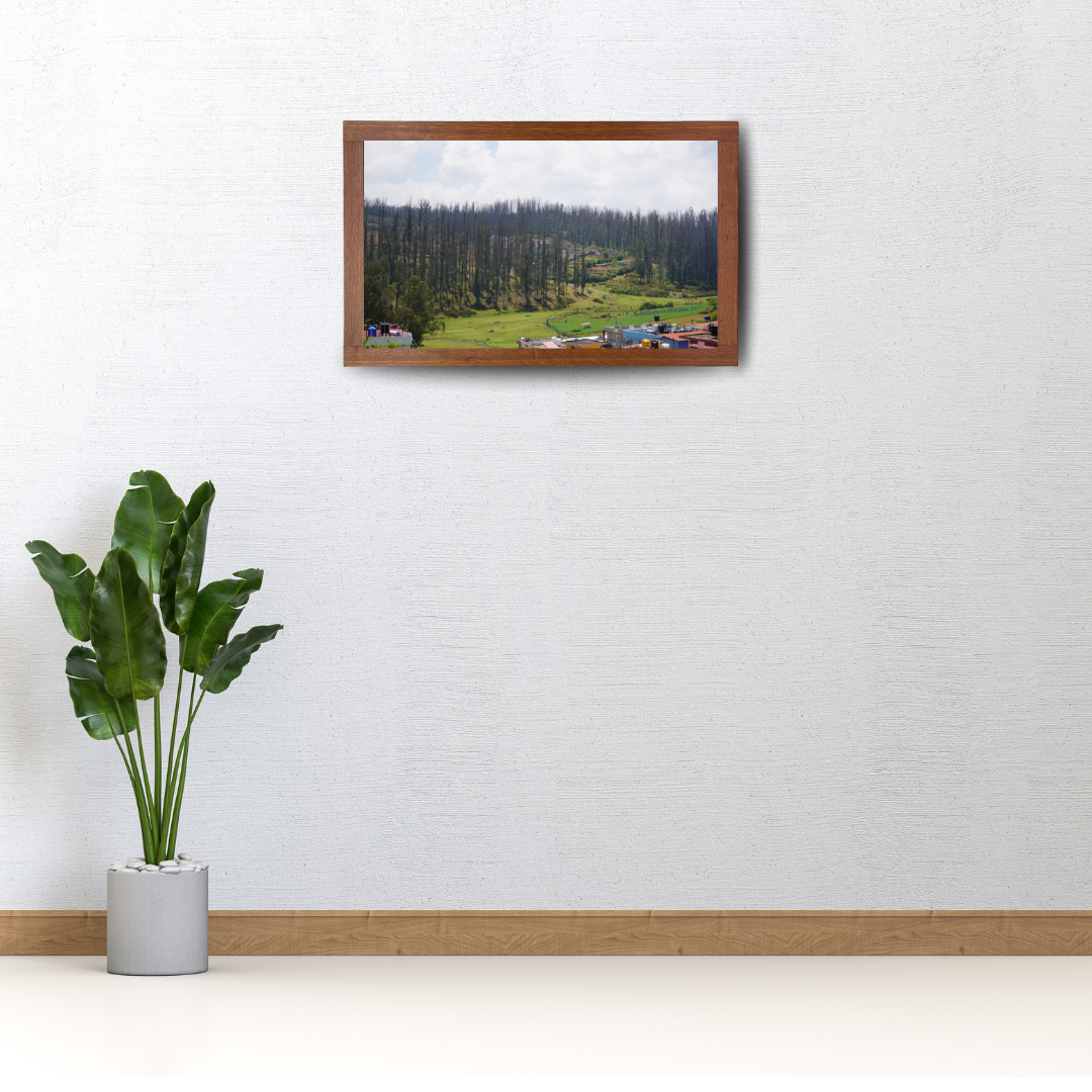 Among Trees and Trails