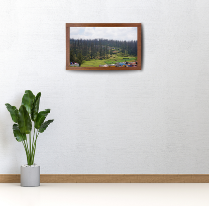 Among Trees and Trails