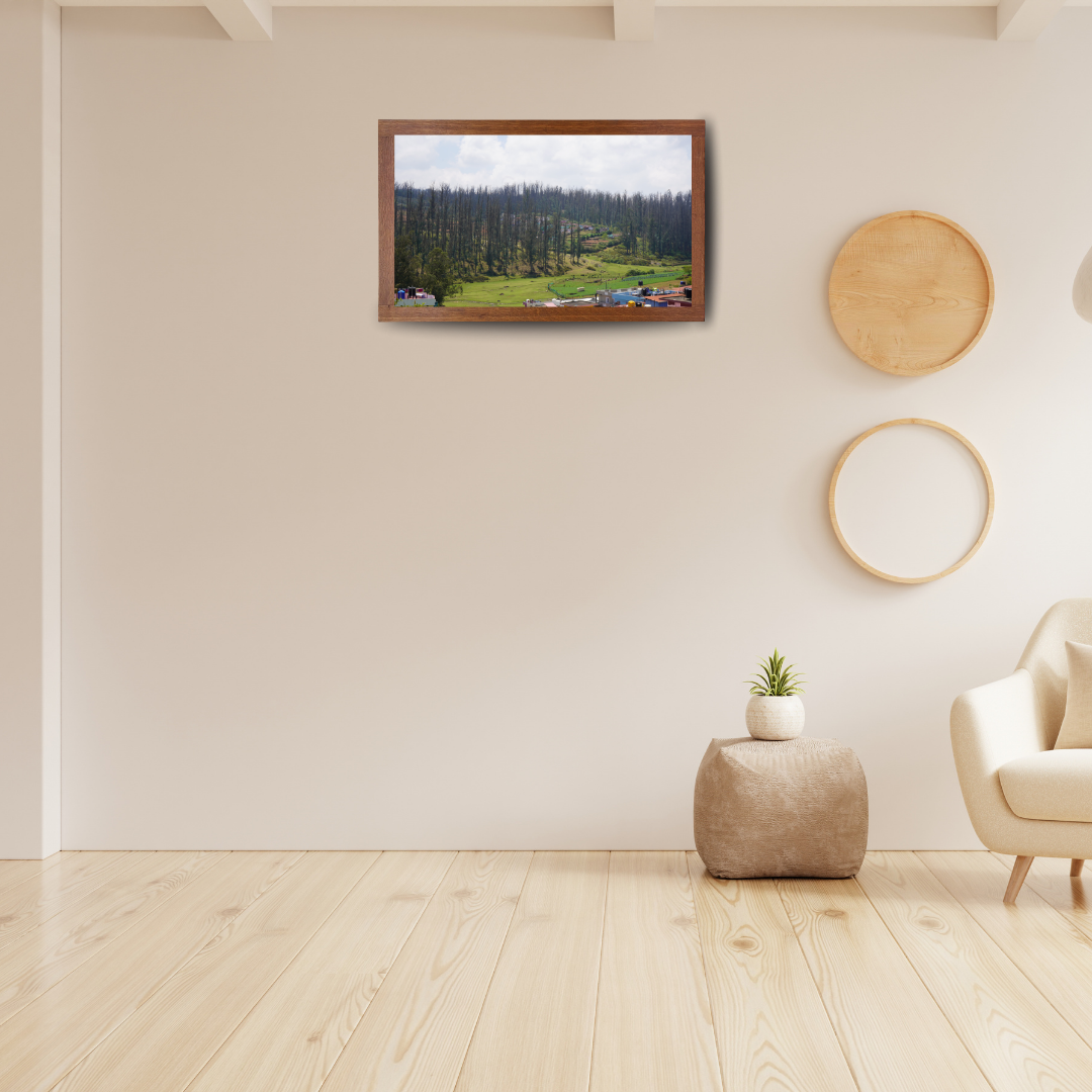 Among Trees and Trails