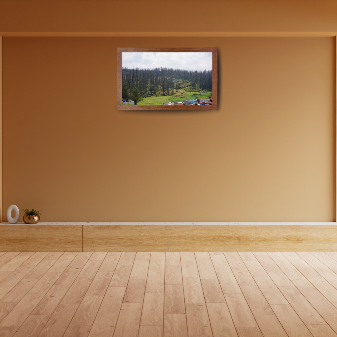 Among Trees and Trails