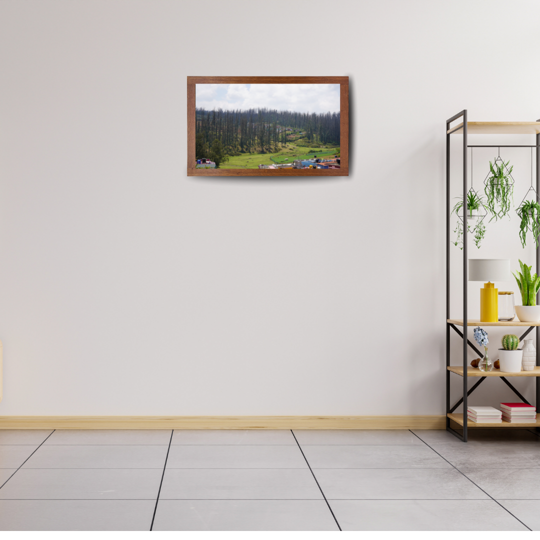 Among Trees and Trails