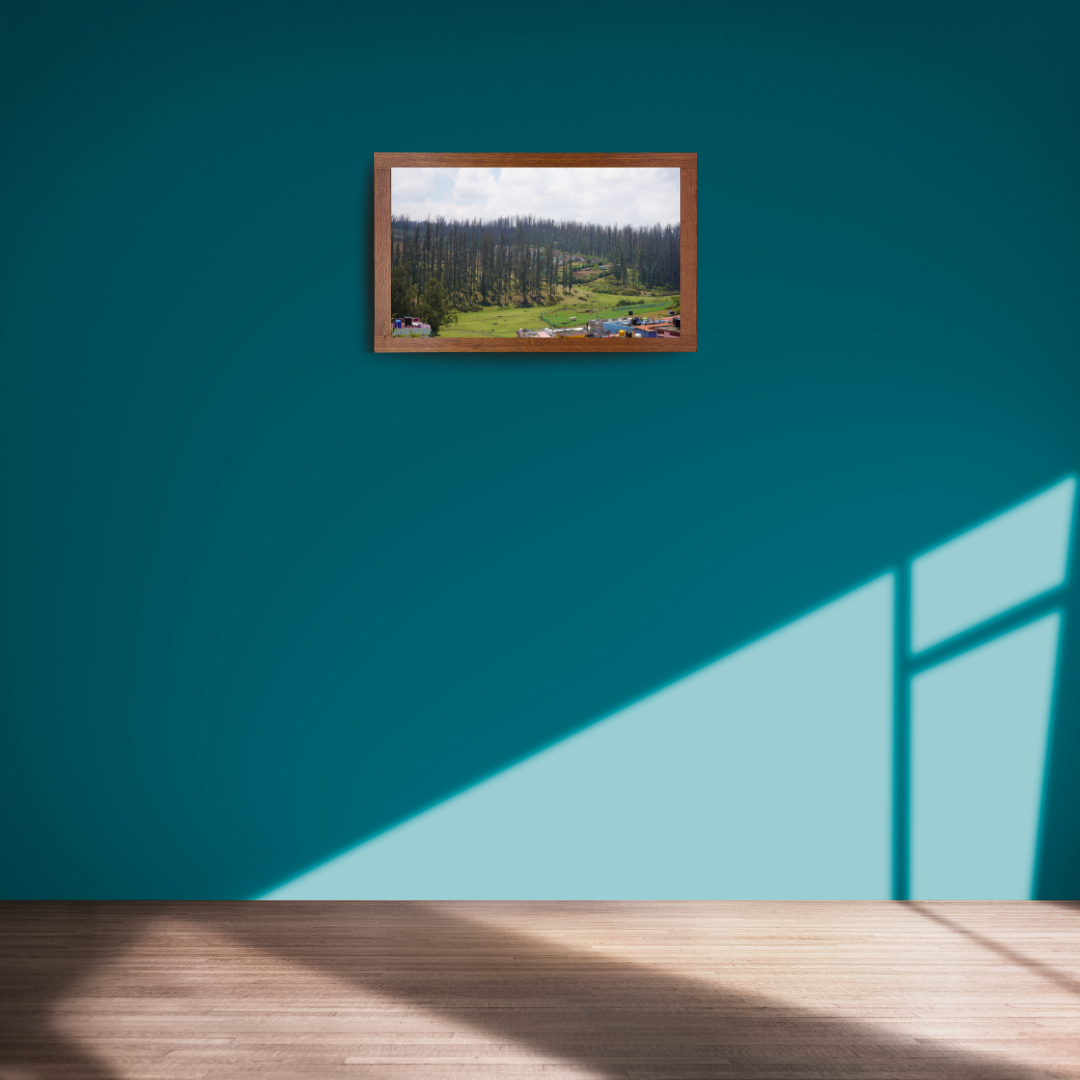 Among Trees and Trails