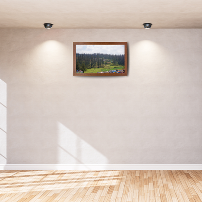 Among Trees and Trails