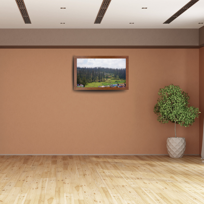 Among Trees and Trails