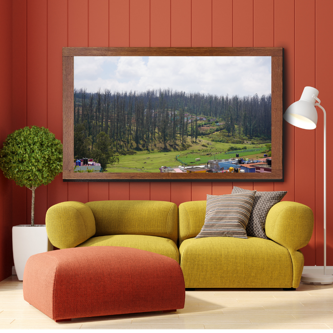 Among Trees and Trails