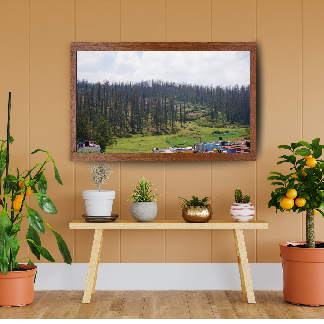 Among Trees and Trails