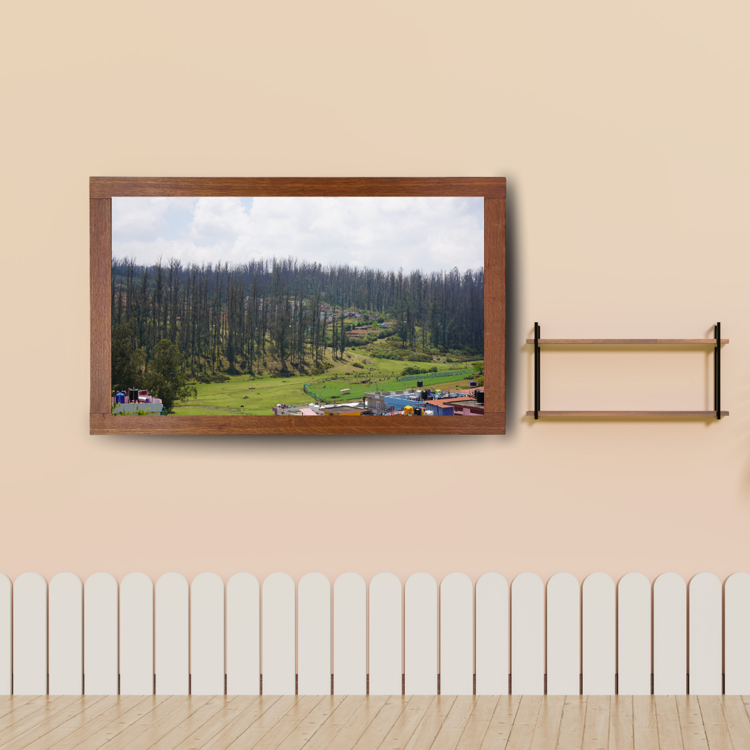 Among Trees and Trails