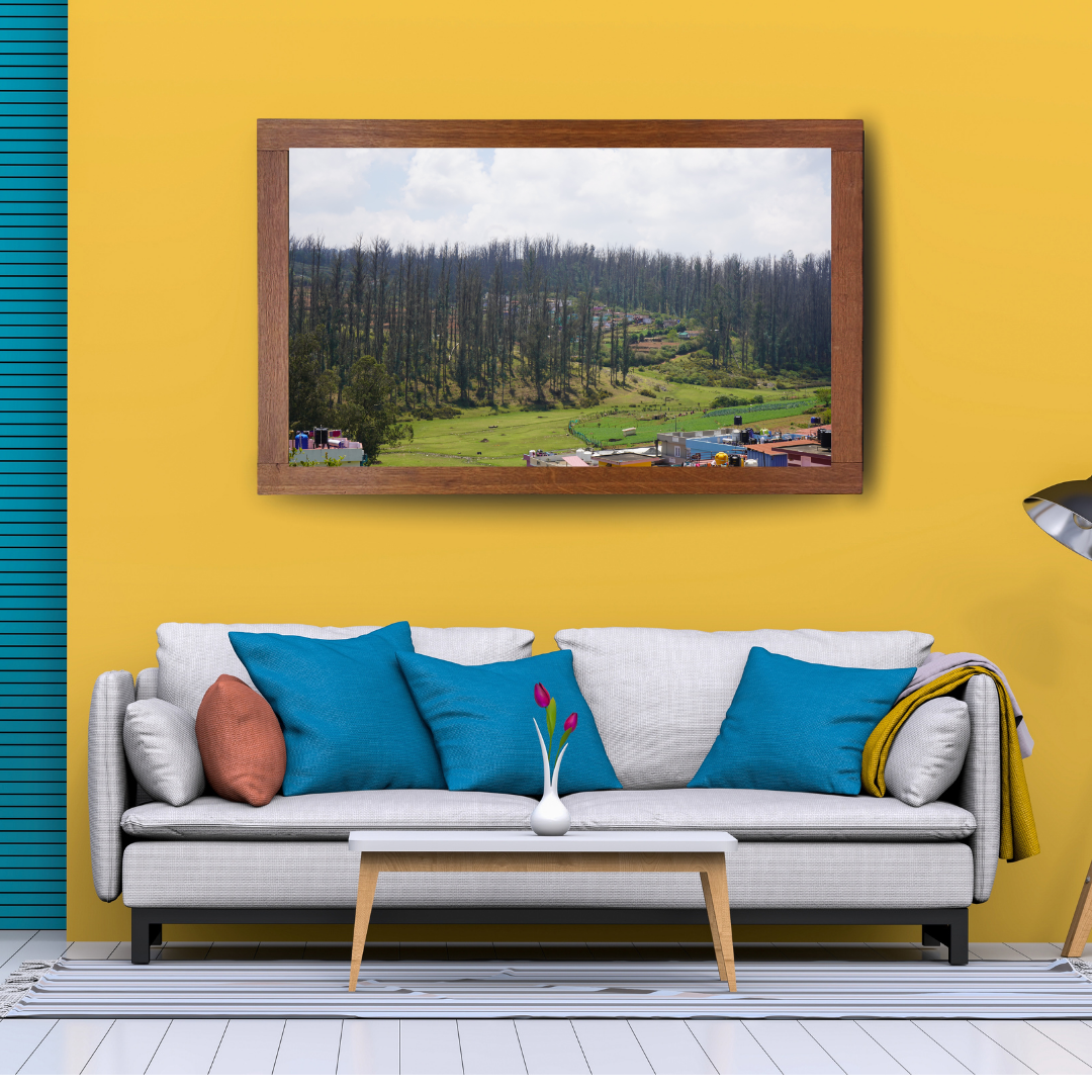 Among Trees and Trails