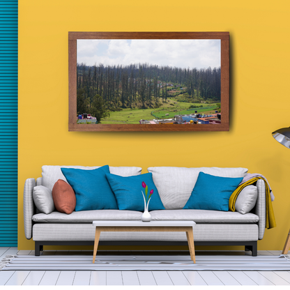 Among Trees and Trails