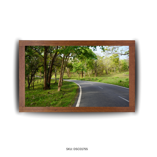 Forest-Fringed Drive - First Image