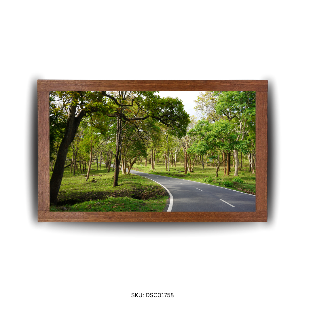 Leafy Lane Journey