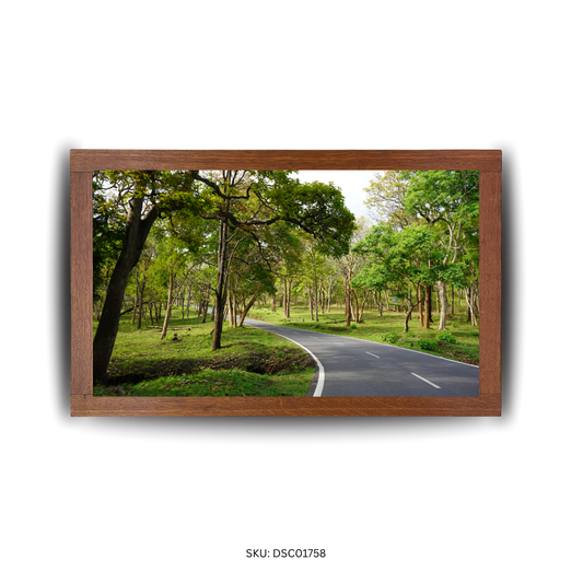 Leafy Lane Journey