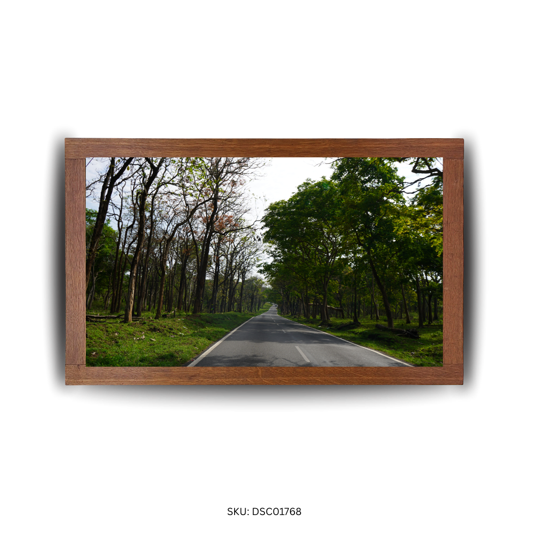 Nature’s Roadside Charm - First Image