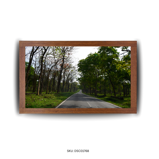 Nature’s Roadside Charm - First Image